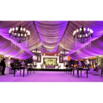 corporate Party Organizers
