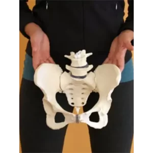Pelvic-acetabular surgery
