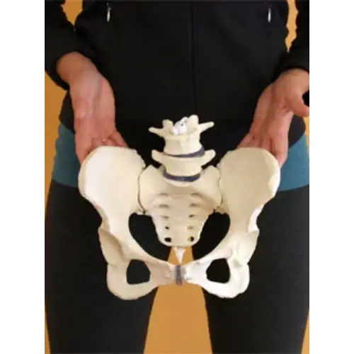 Pelvic-acetabular surgery