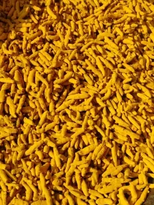 turmeric