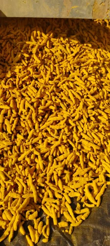 turmeric