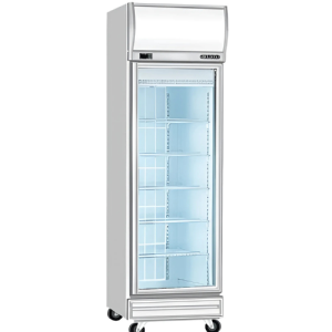 Display Chiller Door