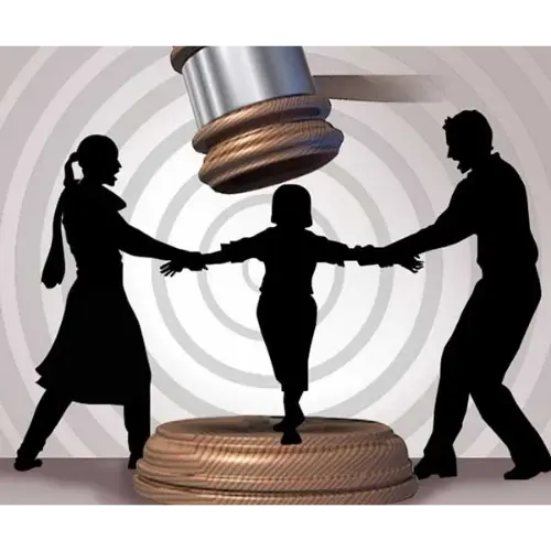 Child Custody Cases