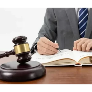 Criminal and Civil Appeal Expert