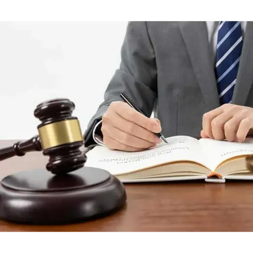 Criminal and Civil Appeal Expert