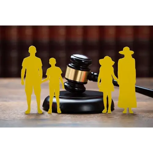 Family Case