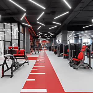 Commercial Gym Bench