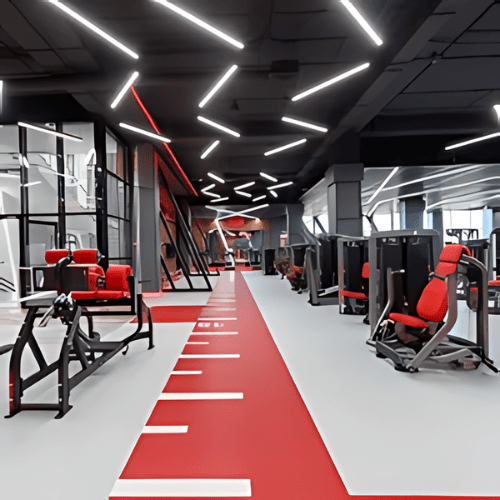 Commercial Gym Bench
