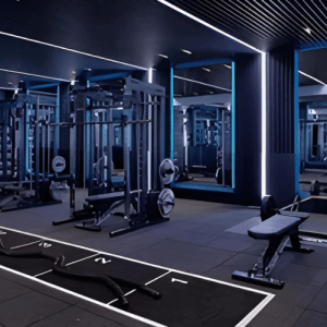 Gym Equipment Leg Extension