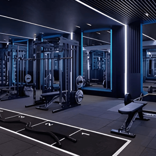 Gym Equipment Leg Extension