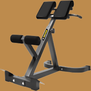 Gym Adjustable Bench