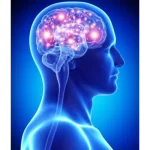 Mind & Neuropsychiatry
