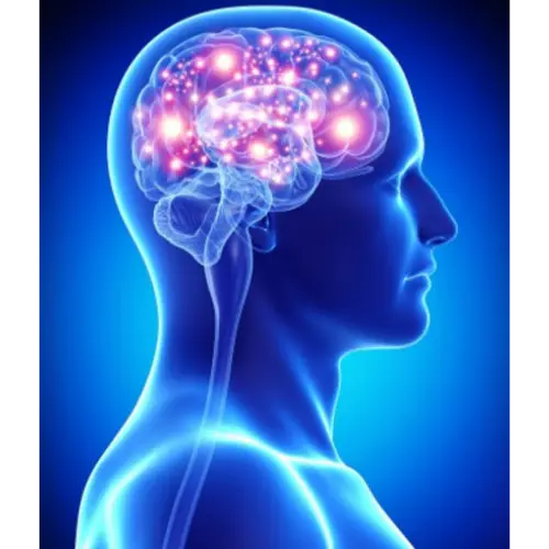 Mind & Neuropsychiatry