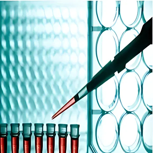 Molecular Testing System