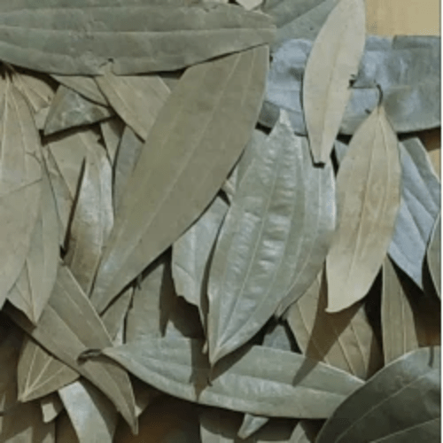 Organic Dried Bay Leaf