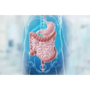 gastro