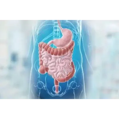 gastro